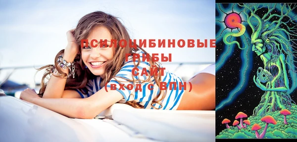 дживик Балахна