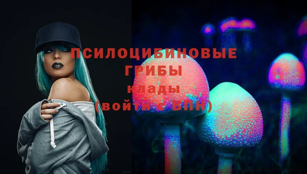 дживик Балахна