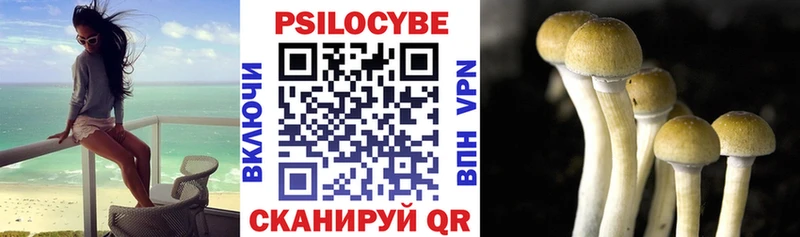 Галлюциногенные грибы ЛСД  Богданович 