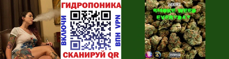 что такое нарко площадка как зайти Канабис OG Kush Богданович omg как зайти